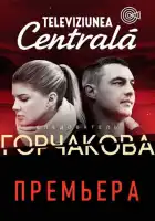  Следователь Горчакова смотреть онлайн сериал 1-2 сезон 